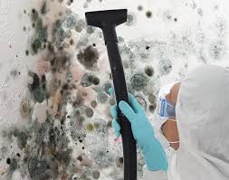 Best Commercial Mold Inspection  in Clarence, IA